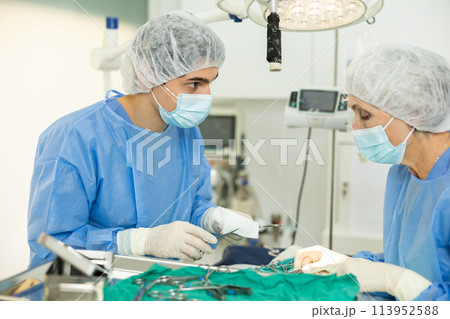 Young veterinarian assisting senior female colleague during surgery at veterinary clinic 113952588