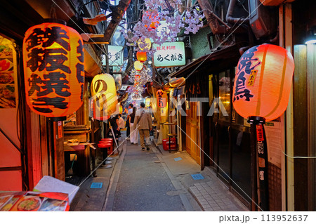 新宿西口　思い出横丁 113952637