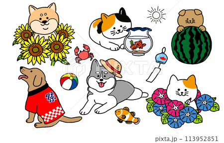 夏の犬と猫のイラストセット 113952851