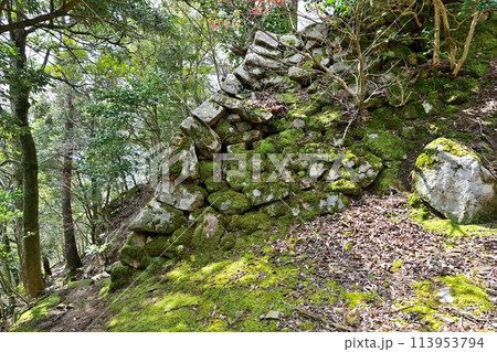 秀吉が鳥取城攻略時に落とした因幡国「景石城跡」 113953794