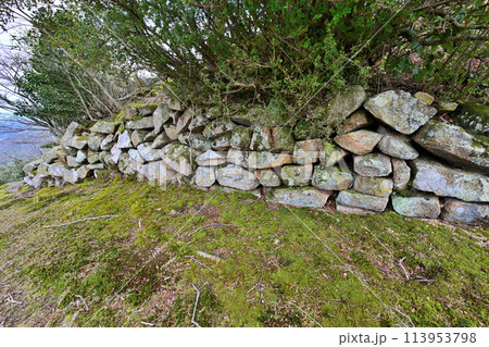秀吉が鳥取城攻略時に落とした因幡国「景石城跡」 秀吉が鳥取城攻略時に落とした因幡国「景石城跡」 113953798