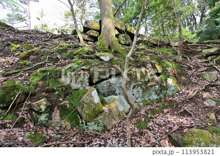 秀吉が鳥取城攻略時に落とした因幡国「景石城跡」 113953821