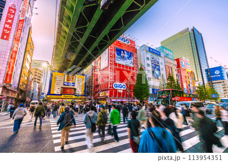 日本の東京都市景観 復活インバウンド…外国人観光客らで賑わう秋葉原などを望む…=19日 日本の東京都市景観 復活インバウンド…外国人観光客らで賑わう秋葉原などを望む…=19日 113954351