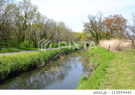 荒川低地の原風景の面影を残す江川河岸の春景色 荒川低地の原風景の面影を残す江川河岸の春景色 113954445