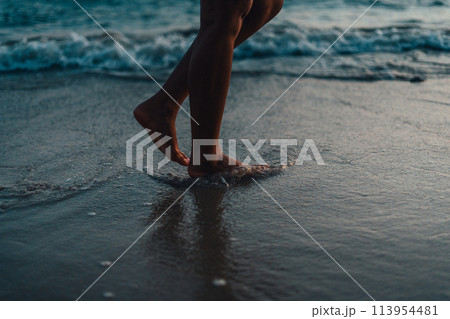 Walking on the beach in the evening Walking on the beach in the evening 113954481