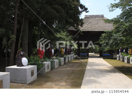茂林寺：参道と赤門（群馬県館林市） 113954544