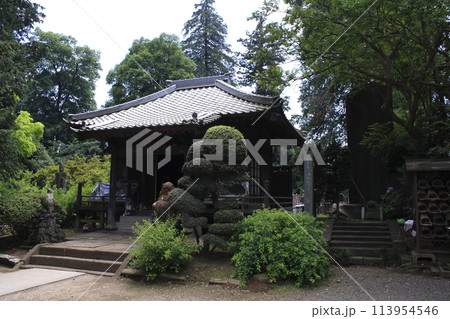 茂林寺にて(群馬県館林市) 茂林寺にて(群馬県館林市) 113954546