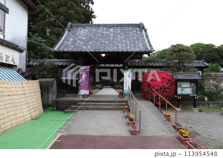 茂林寺:黒門(群馬県館林市) 茂林寺:黒門(群馬県館林市) 113954548