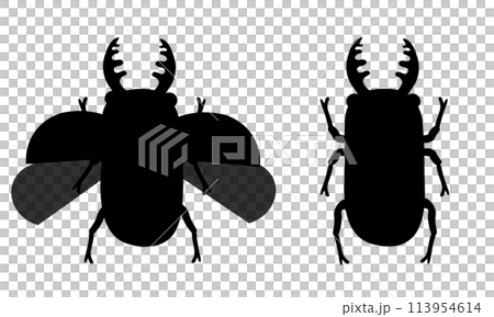 鍬蟲剪影集 113954614