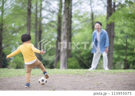 サッカーボールを蹴る男の子と遊ぶ父親 顔無し サッカーボールを蹴る男の子と遊ぶ父親 顔無し 113955075