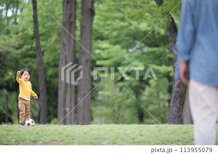 サッカーボールを蹴る男の子と遊ぶ父親 113955079