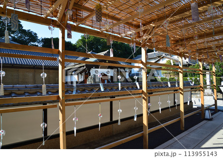 長松院　2023-7-30　＃25 113955143