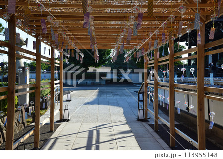 長松院 2023-7-30 #28 長松院 2023-7-30 #28 113955148