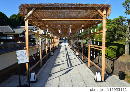 長松院　2023-7-30　＃30 113955152