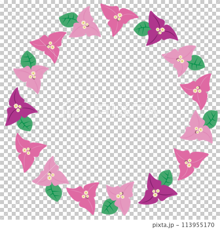 Bougainvillea circular frame material 113955170