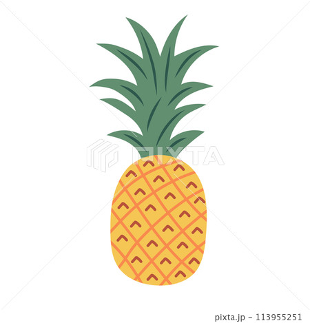 Pineapple with leaf. Tropical fruit. Vector illustration isolated on white background. 113955251