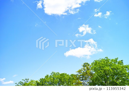 青空と雲イメージ 青空と雲イメージ 113955342