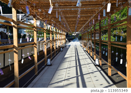 長松院　2023-7-30　＃31 113955349