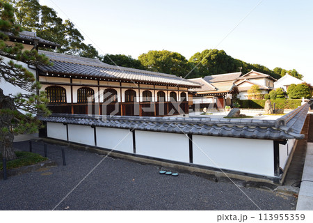 長松院　2023-7-30　＃35 113955359