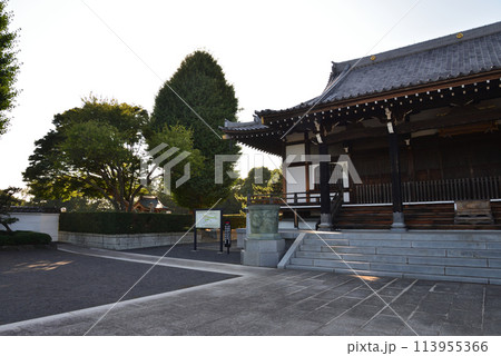長松院　2023-7-30　＃38 113955366