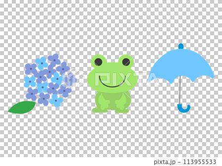 カエル、アジサイ、傘のイラスト カエル、アジサイ、傘のイラスト 113955533