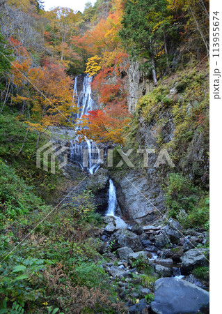 唐沢の滝の紅葉 唐沢の滝の紅葉 113955674