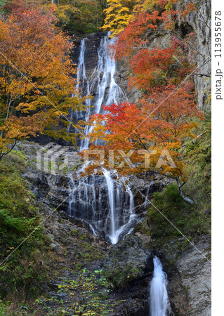 唐沢の滝の紅葉 113955678