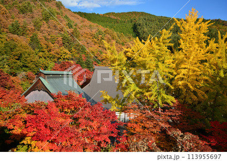 霊松寺の紅葉 113955697