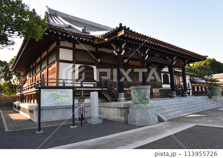 長松院　2023-7-30　＃44 113955726