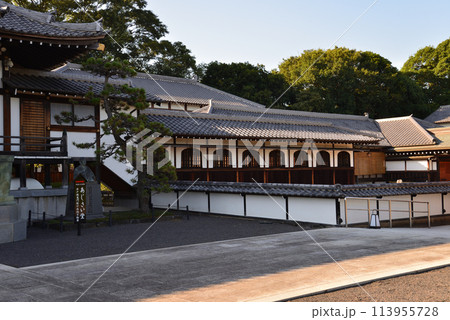 長松院　2023-7-30　＃46 113955728