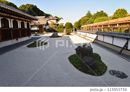 長松院　2023-7-30　＃48 113955730