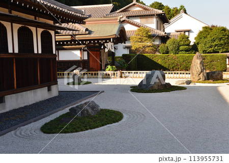 長松院　2023-7-30　＃49 113955731
