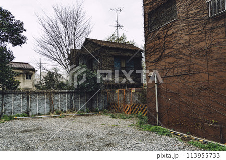 蔦植物に浸食されたレトロ住居と空き地 113955733