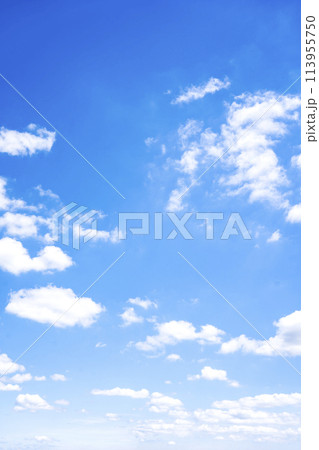 青空 空 雲 春の空 背景 背景素材 4月 コピースペース 青空 空 雲 春の空 背景 背景素材 4月 コピースペース 113955750