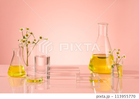 Laboratory with feverfew concept, extract from feverfew contained in transparent erlenmeyer flask and beaker, 2 rectangle podium to display product. Blank space for design Laboratory with feverfew concept, extract from feverfew contained in transparent erlenmeyer flask and beaker, 2 rectangle podium to display product. Blank space for design 113955770