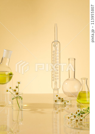 Transparent Spiral Reflux Condenser, boiling flask and erlenmeyer flask filled with yellow extract liquid from Tanacetum parthenium. Blank space for advertising or presentation Transparent Spiral Reflux Condenser, boiling flask and erlenmeyer flask filled with yellow extract liquid from Tanacetum parthenium. Blank space for advertising or presentation 113955807