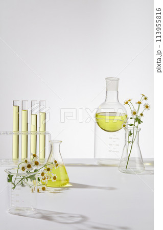 Laboratory flasks of daisy liquid extract, transparent glass and beaker with blank space in white background. Daisy Flower Oil used on its own is a wonderfully scented can use as a carrier for making  Laboratory flasks of daisy liquid extract, transparent glass and beaker with blank space in white background. Daisy Flower Oil used on its own is a wonderfully scented can use as a carrier for making  113955816