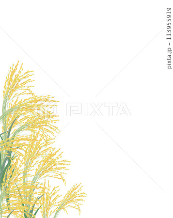 リアルな稲穂の縦型背景 リアルな稲穂の縦型背景 113955919