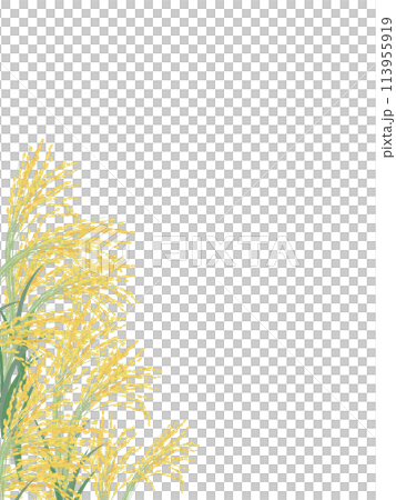 リアルな稲穂の縦型背景 リアルな稲穂の縦型背景 113955919