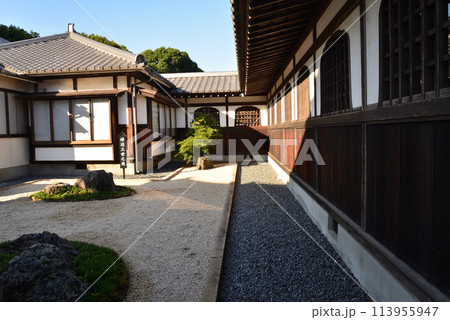 長松院　2023-7-30　＃51 113955947