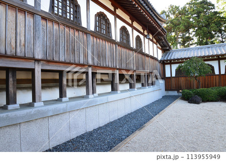 長松院　2023-7-30　＃52 113955949