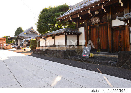 長松院　2023-7-30　＃56 113955954