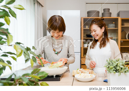 キッチンでサンドイッチを盛り付ける母と娘の2人 キッチンでサンドイッチを盛り付ける母と娘の2人 113956006