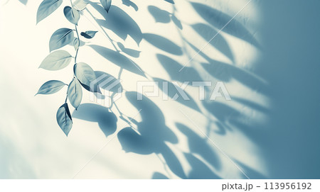 Shadow of a plant with intricate leaves on a smooth wall, with a subtle gradient background 113956192