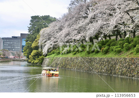 駿府城・観光船・葵船・駿府城公園（静岡県・静岡市） 113956653