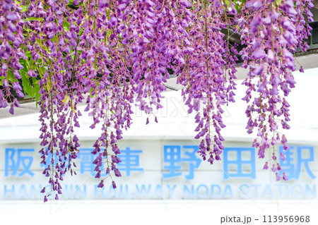阪神電車野田駅前の野田フジ 113956968