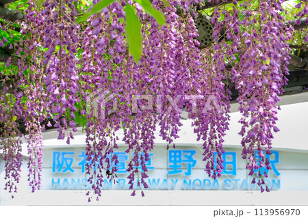 阪神電車野田駅前の野田フジ 113956970