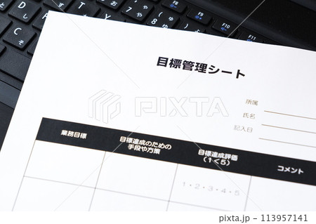 個人やチームの達成目標を明確に定義し、進捗状況を追跡するためのツールである「目標管理シート」 個人やチームの達成目標を明確に定義し、進捗状況を追跡するためのツールである「目標管理シート」 113957141