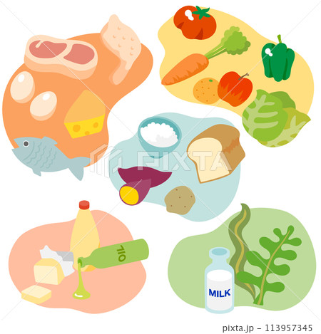 五大栄養素に分類された食品のベクターイラストのセット 113957345