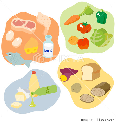 栄養価の高い分類された食品のベクターイラストのセット 113957347